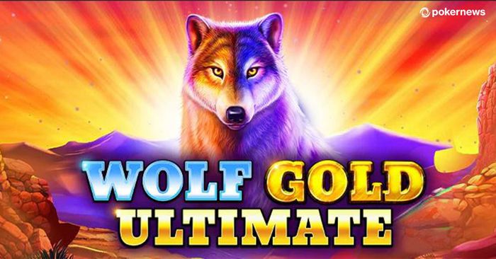 Обзор слота Wolf Gold – Информация о слоте и его особенностях