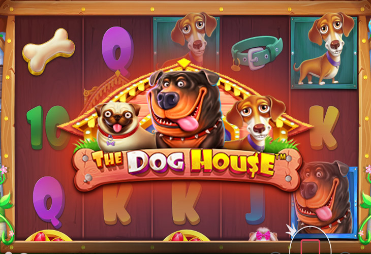Обзор слота The Dog House – Информация о слоте и его особенностях